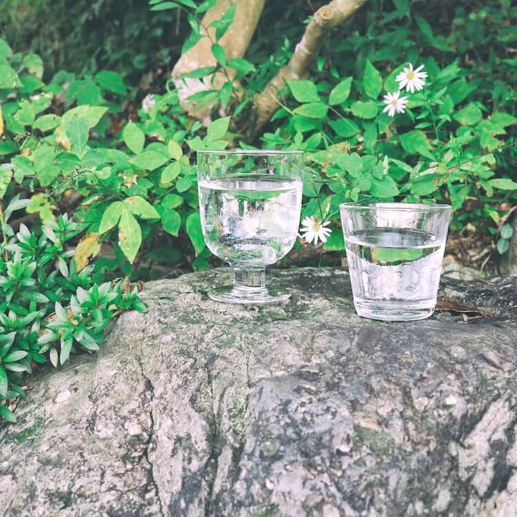 iittala|イッタラ|Lempi|レンピ グラス クリア
