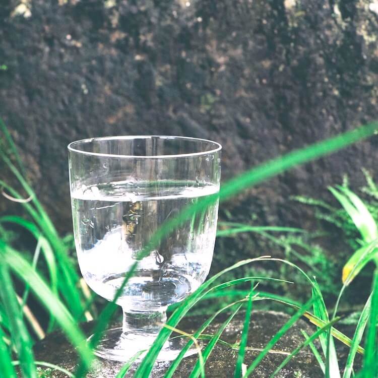 iittala|イッタラ|Lempi|レンピ グラス クリア