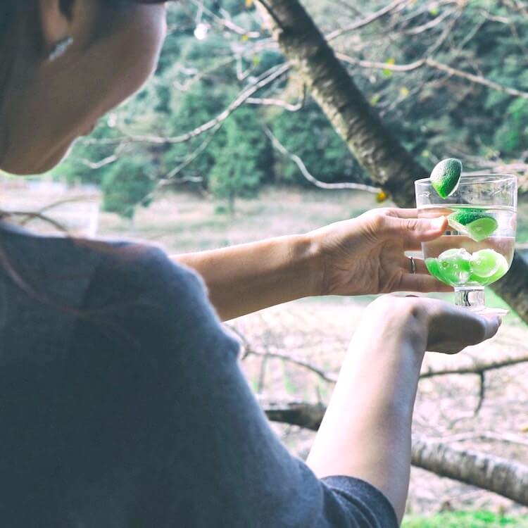 iittala|イッタラ|Lempi|レンピ グラス クリア
