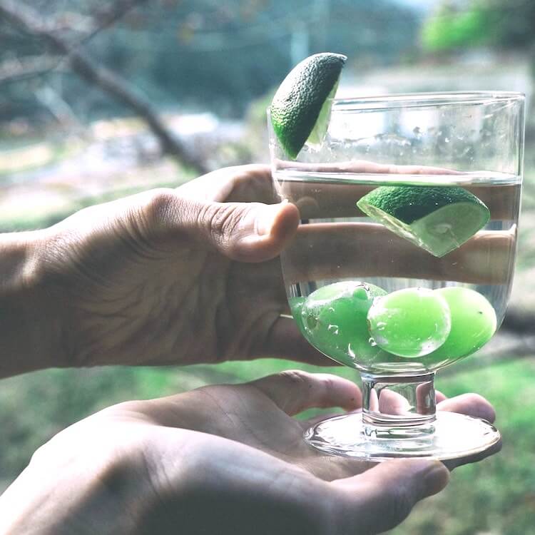iittala|イッタラ|Lempi|レンピ グラス クリア