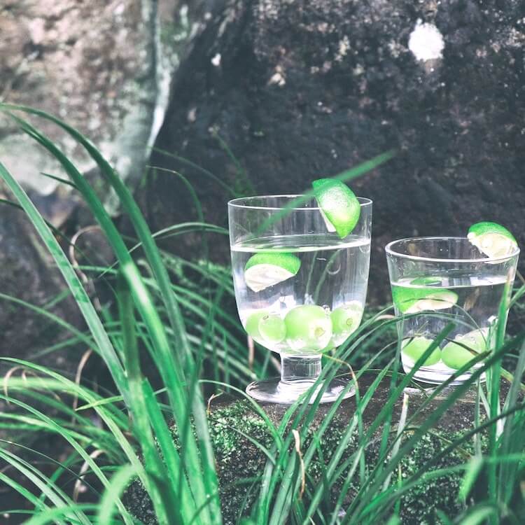 iittala|イッタラ|Lempi|レンピ グラス クリア