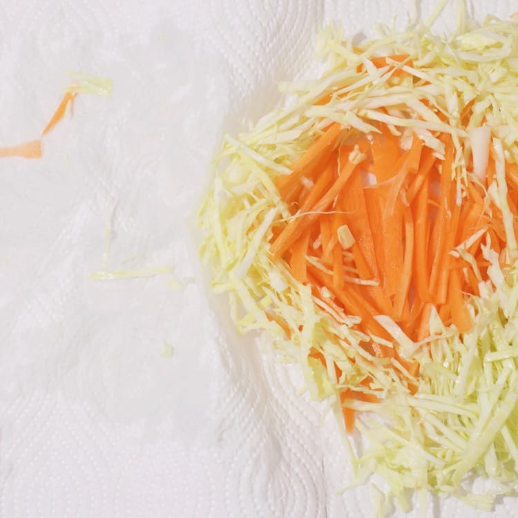 シンプルなコールスローサラダ(5人分)